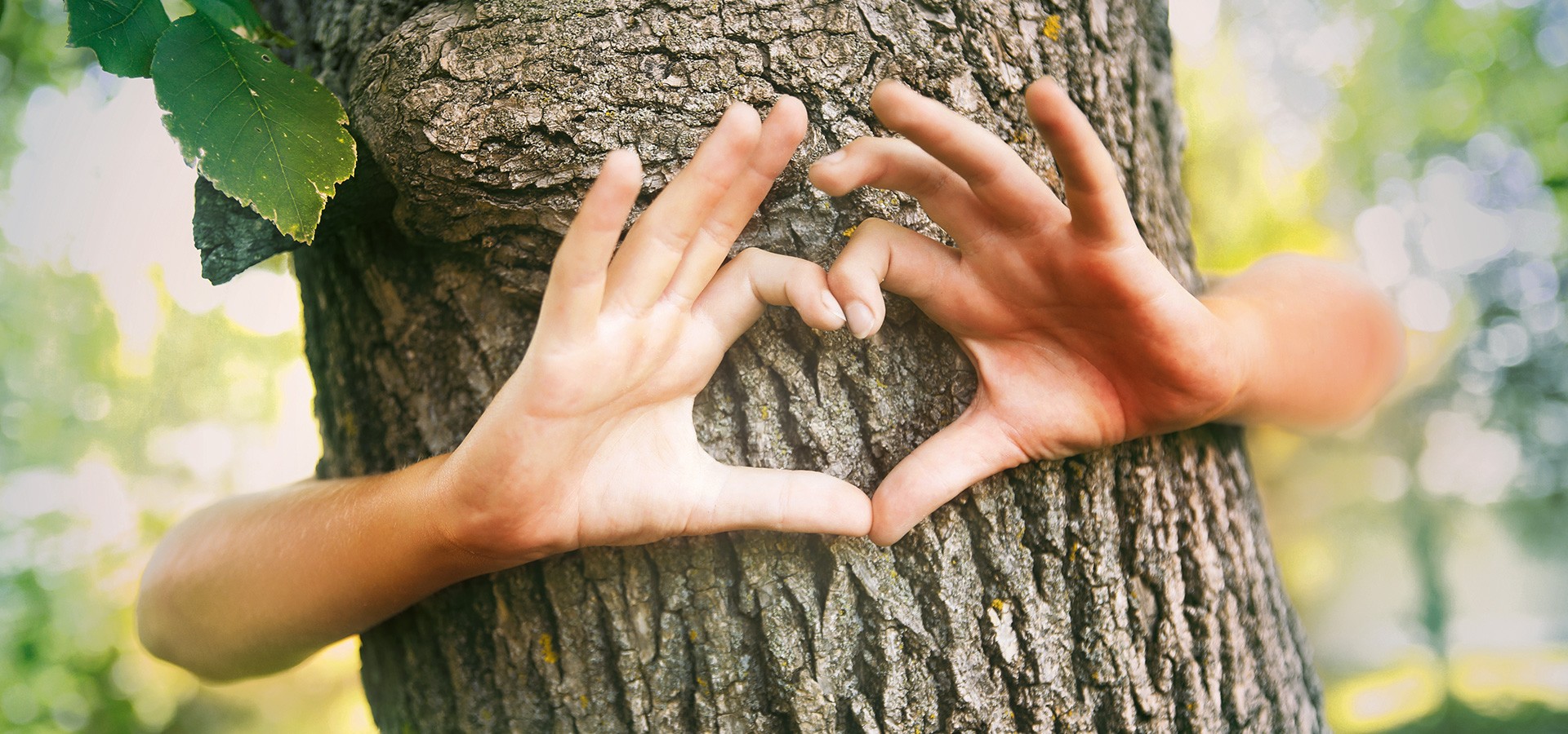 PRIMAGAS - Klimaneutralität, Herz, Baum, Hände
