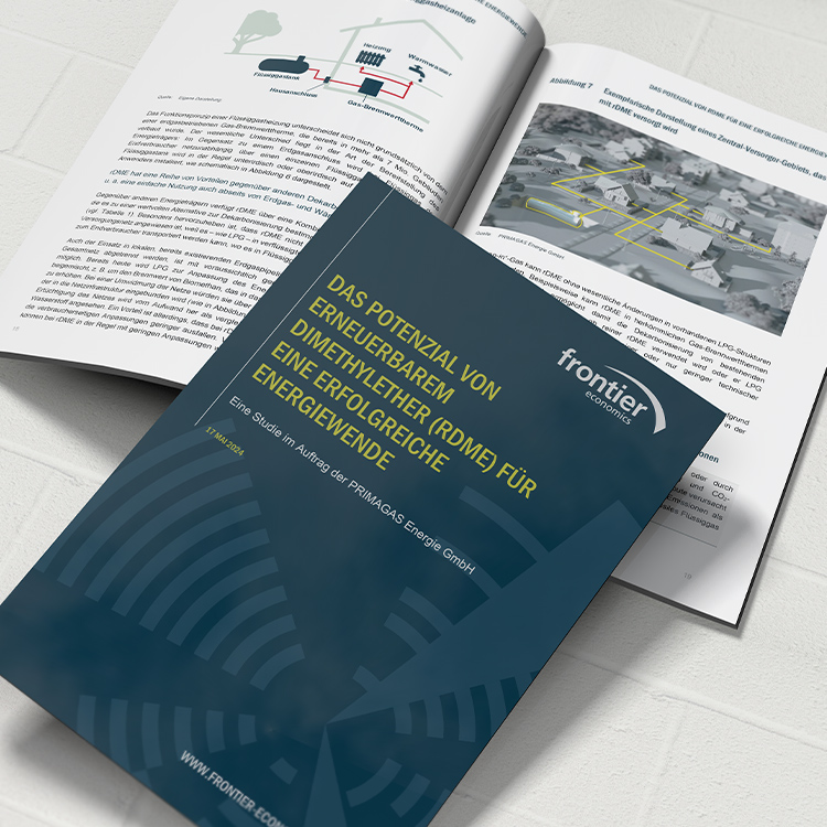 Bildausschnitt der broschierten Frontier Economics Studie zu erneuerbarem Dimetylether (rDME)
