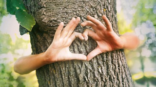 PRIMAGAS - Klimaliebe - Nachhaltigkeit - Natur, Baum, Herz